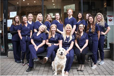 liberty village vet|liberty village animal hospital.